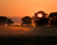 20080512_1DMKIII_Burgenland_015-web900px